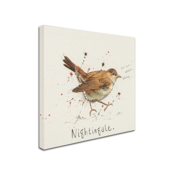 Michelle Campbell 'Nightingale' Canvas Art,35x35